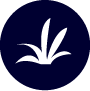 Weeds Icon